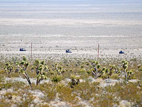 Targets in the Mojave Desert