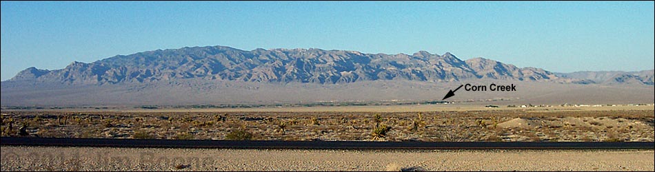 Birding the Desert National Wildlife Range