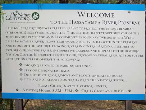 Hassayampa River Preserve
