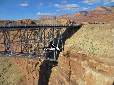 Marble Canyon - Navajo Bridge