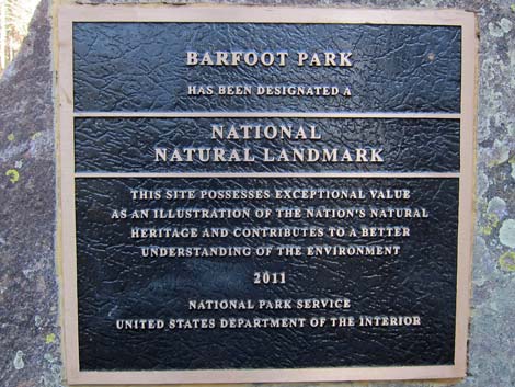 Barfoot Park