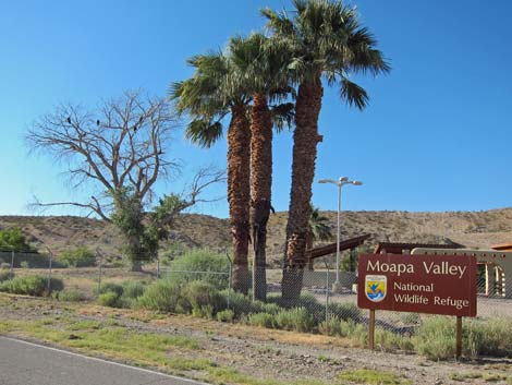 Moapa Valley National Wildlife Refuge