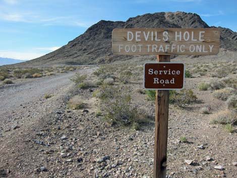 devil's hole