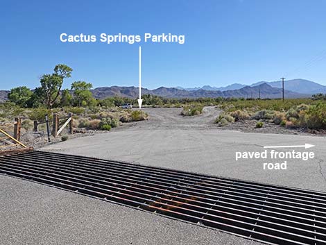 Cactus Springs
