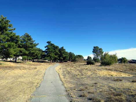 discovery park
