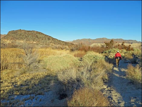 Shoshone Red Birding Trail
