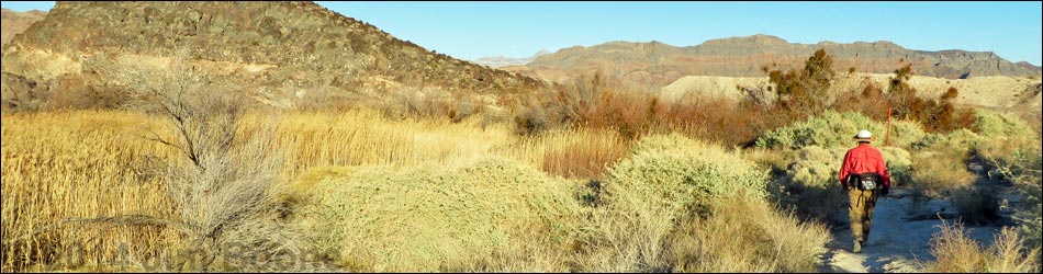 Shoshone Red Birding Trail