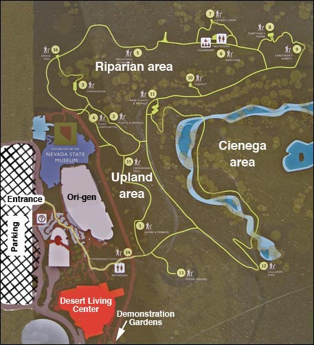 Las Vegas Springs Preserve Trail Map