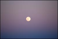 Mojave Desert Moon