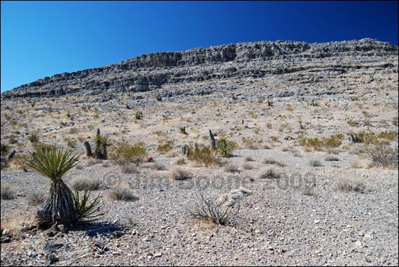 Yucca and Limestone Ridge