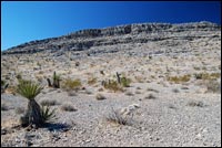 Yucca and Limestone Ridge