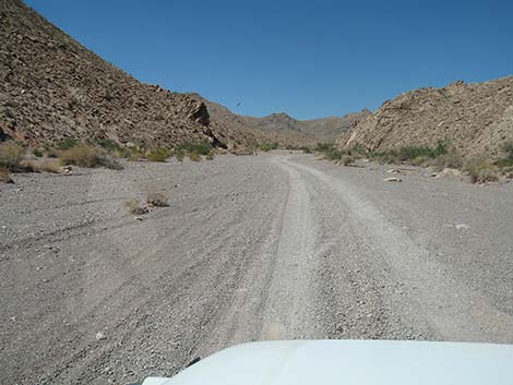 Two-Track Dirt Roads