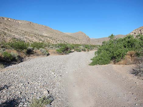 arrow canyon road