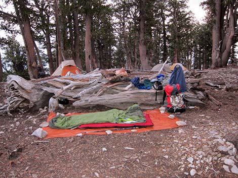 Leave No Trace Camping