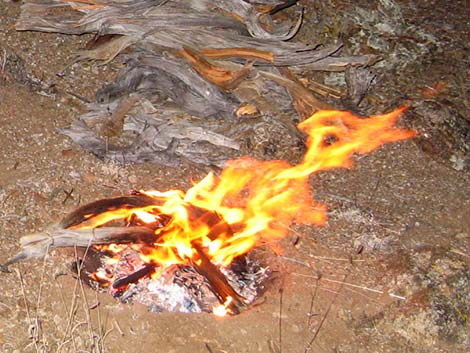LNT campfire