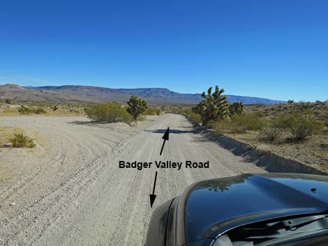 Badger Valley Road