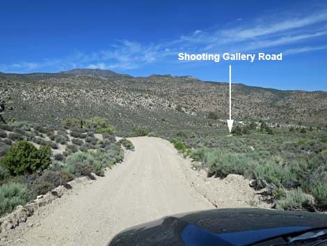 shooting gallery road