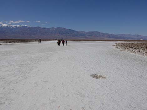 Badwater Salt Flat Trail