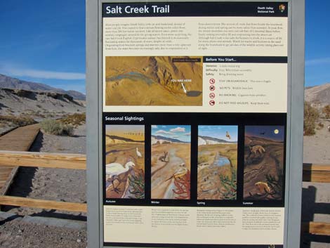 Salt Creek Trail