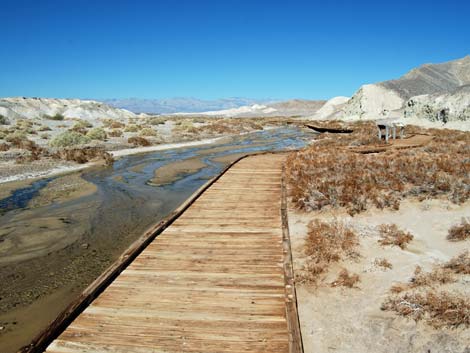 Salt Creek Trail