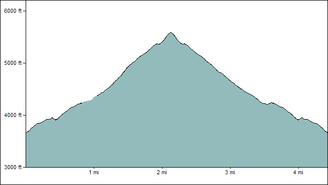 zinc hill elevation profile