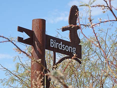 Birdsong Trail