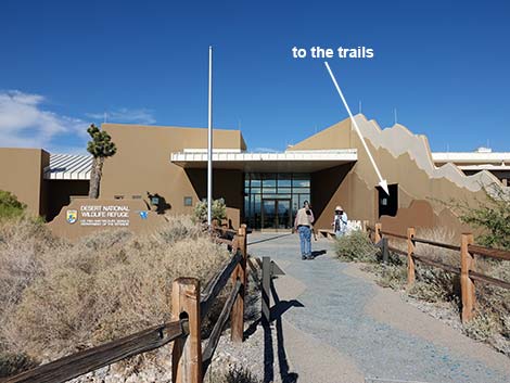 Coyote Loop Trail