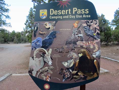 Desert Pass Campground