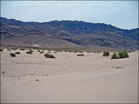 Desert Dry Lake Dunes North