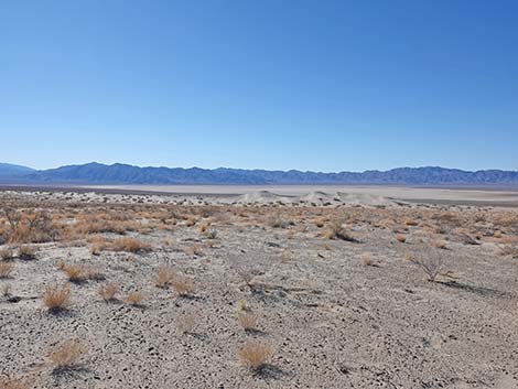 Desert Dry Lake Dunes