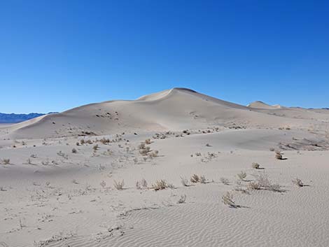 Desert Dry Lake Dunes