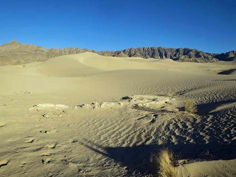 Desert Dry Lake Dunes North
