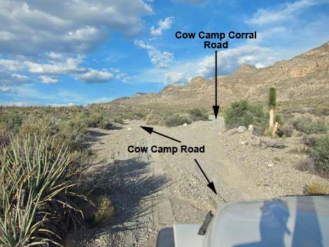 Cow Camp Road