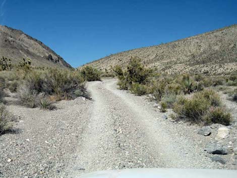 Deadhorse Road