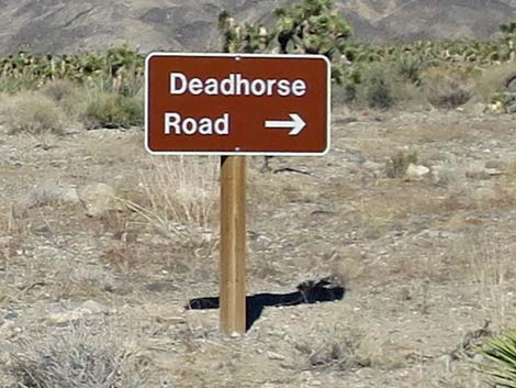 Deadhorse Road