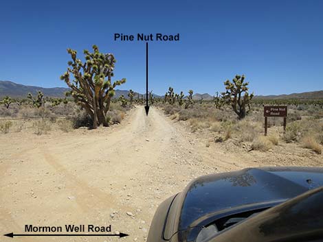 mormon well road