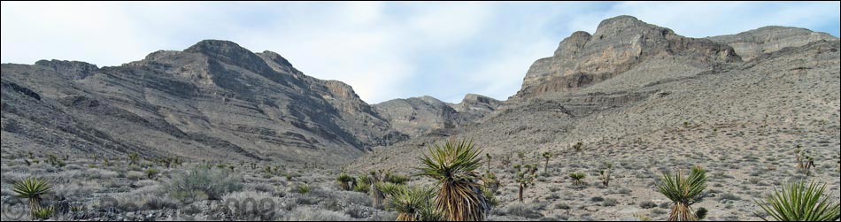 Yucca Gap Canyon 2