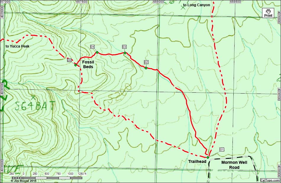 Yucca Peak Fossil Beds Route Map