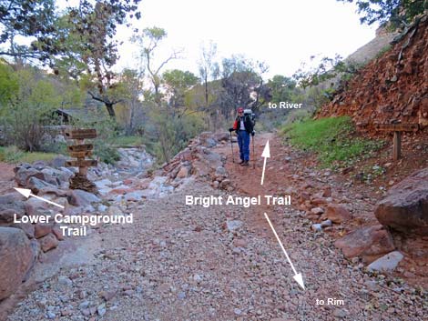 Bright Angel Trail