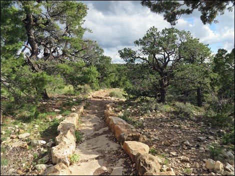 Hermit trail
