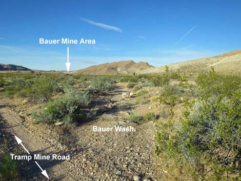 Bauer Mine