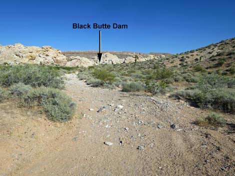 Black Butte Dam