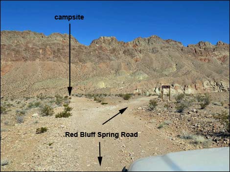 Red Bluff Spring Overlook Campsite