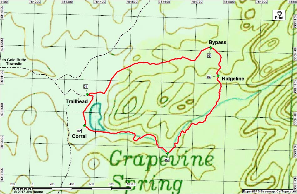 Grapevine Loop