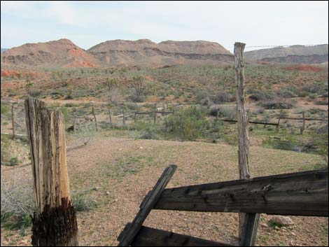 Gold Butte Road Corral
