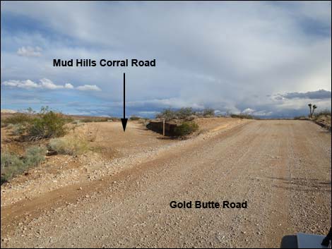 Mud Hills Corral