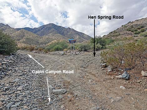 Cabin Canyon Road