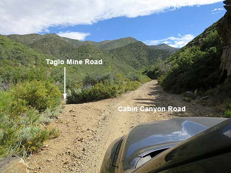 Cabin Canyon Road