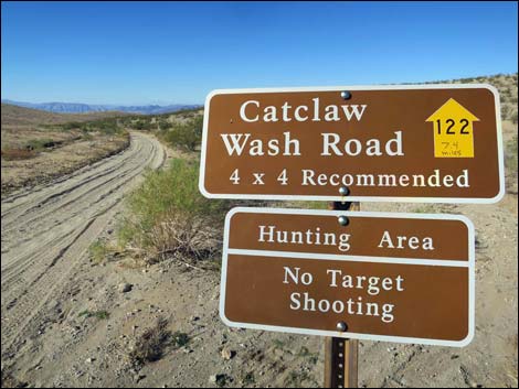 Catclaw Wash Road