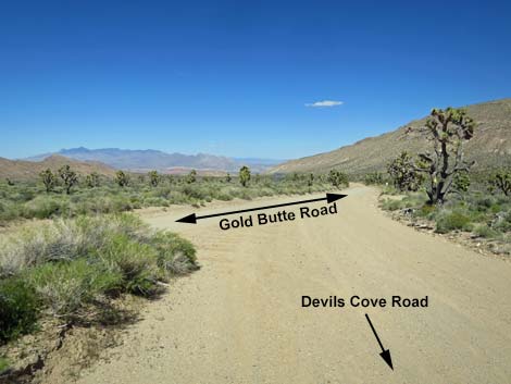 Devils Cove Road